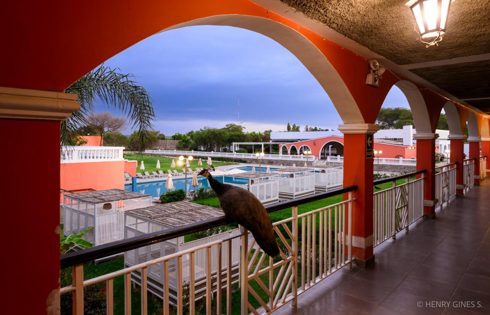 Hacienda San Juan Resort San Juan Bautista Buitenkant foto