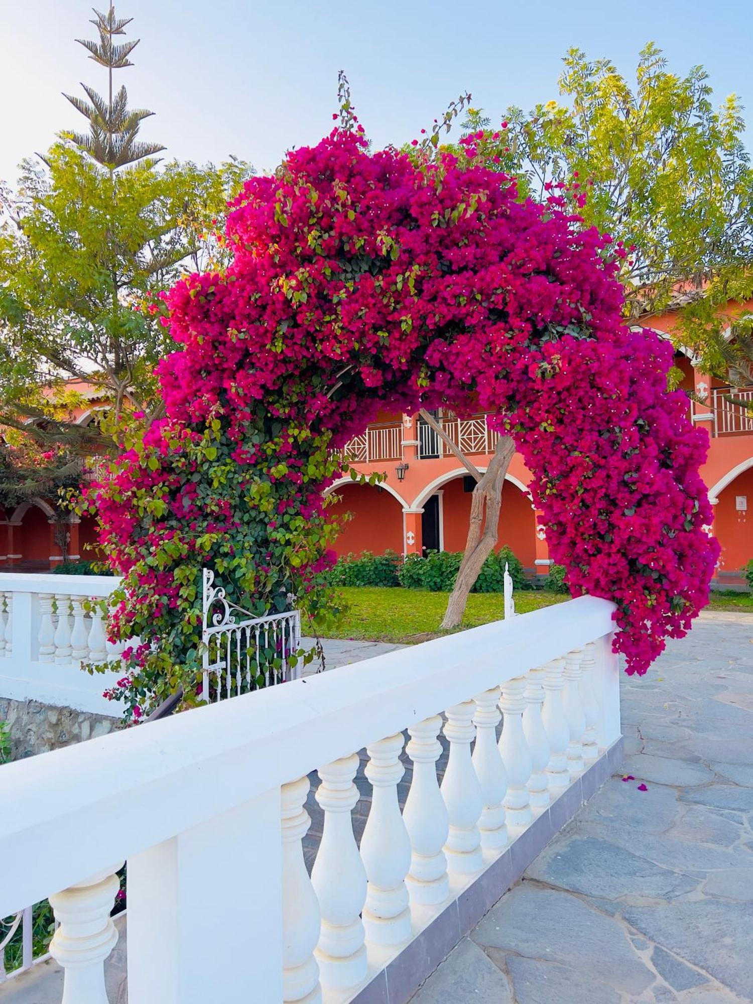 Hacienda San Juan Resort San Juan Bautista Buitenkant foto